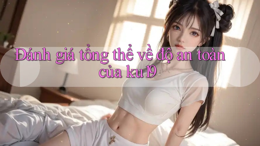 Đánh giá tổng thể về độ an toàn của ku19 Đánh giá tổng thể về độ an toàn của ku19