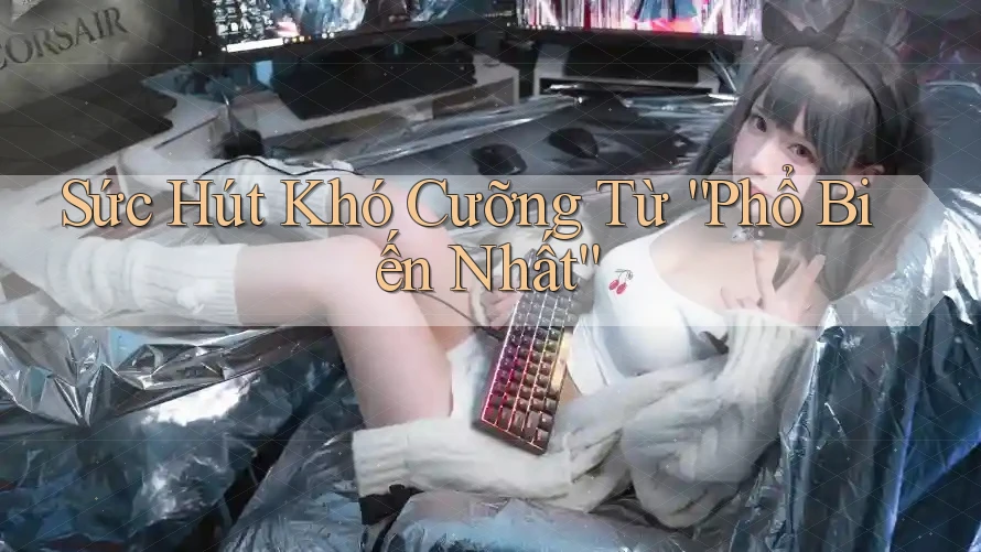 Sức Hút Khó Cưỡng Từ “Phổ Biến Nhất” Sức Hút Khó Cưỡng Từ “Phổ Biến Nhất”