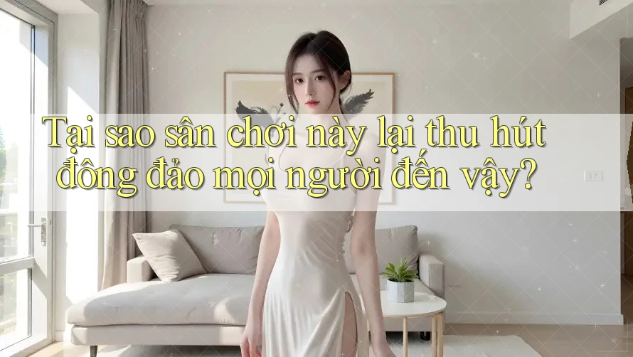Tại sao sân chơi này lại thu hút đông đảo mọi người đến vậy? Tại sao sân chơi này lại thu hút đông đảo mọi người đến vậy?